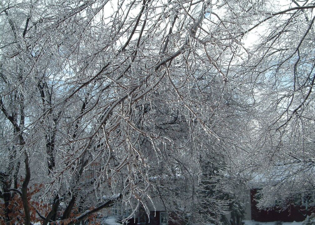 2005: A cluster of high-wind blizzards